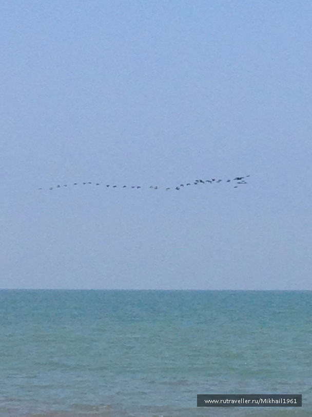 photo 1438786