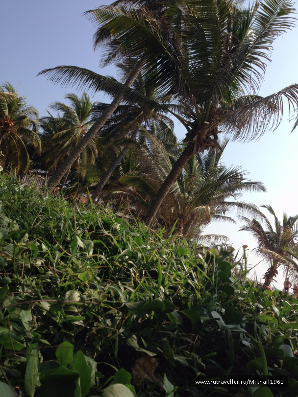 photo 1438787