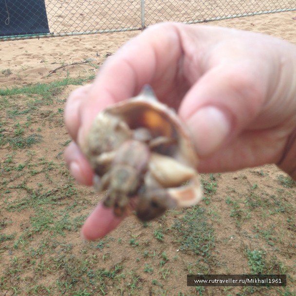 photo 1438791