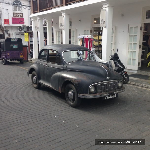 photo 1438803
