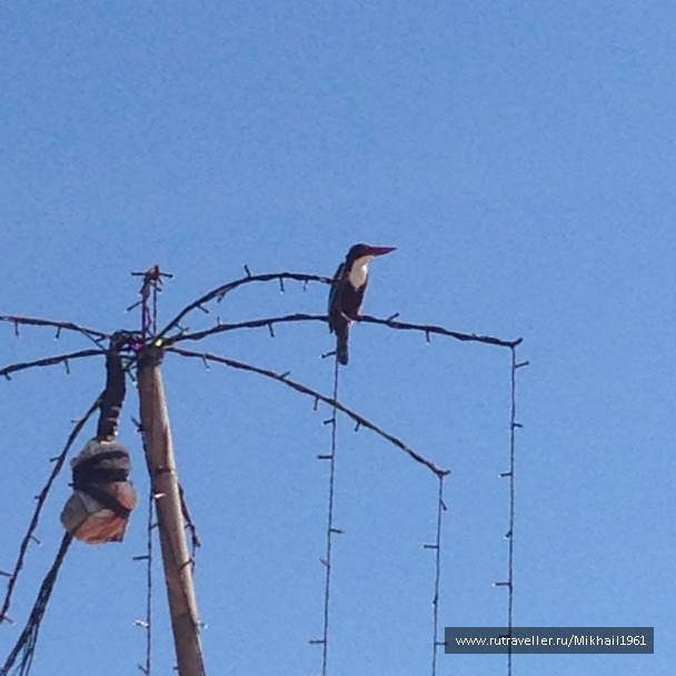 photo 1522784