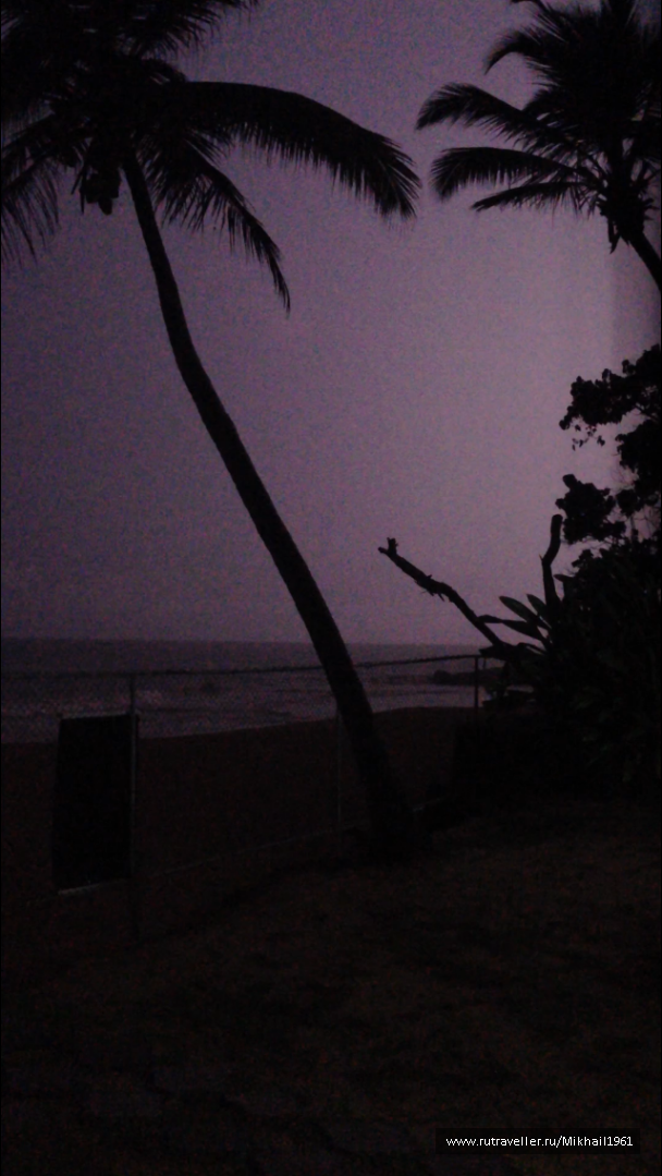 photo 1522786