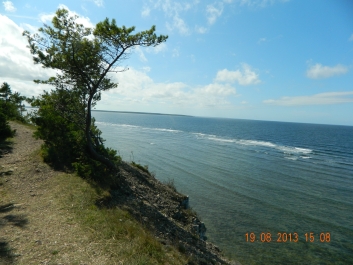 photo 973140