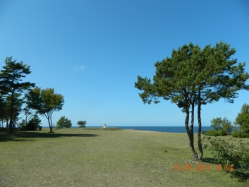 photo 973142