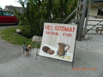photo 973053