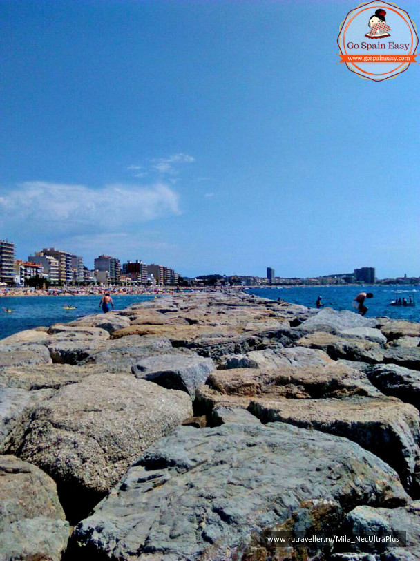 photo 1518944
