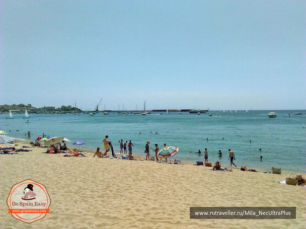 photo 1518962
