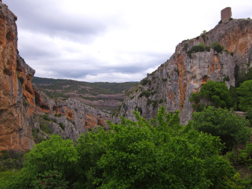photo 1521056