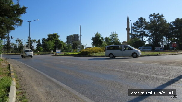 photo 1424937