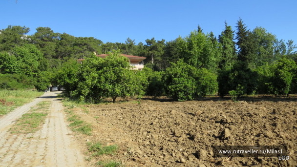 photo 1424938