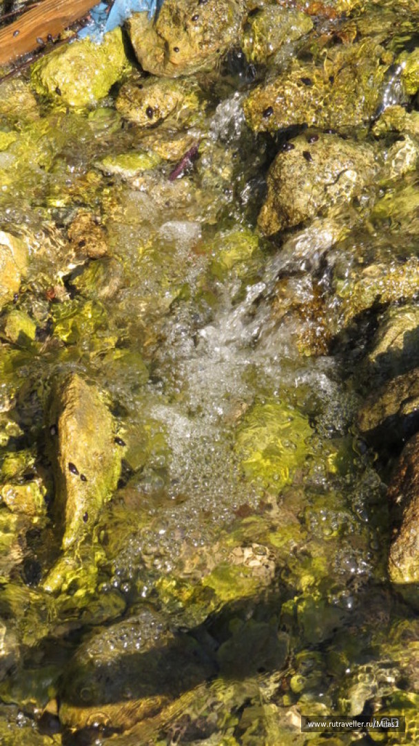 photo 1424942