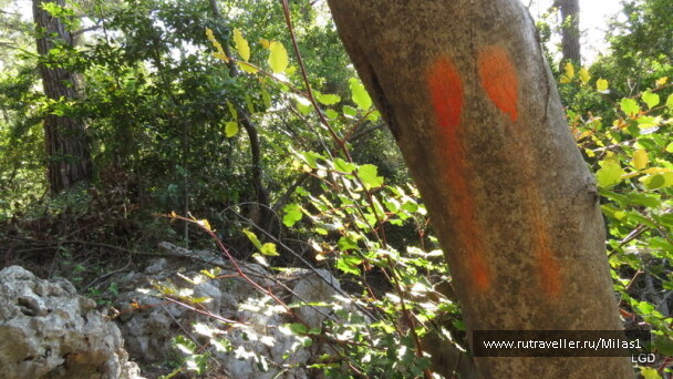 photo 1424943