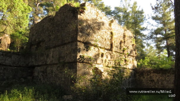 photo 1424947