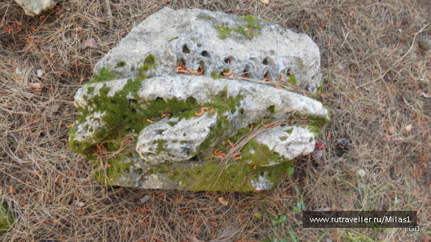 photo 1424948