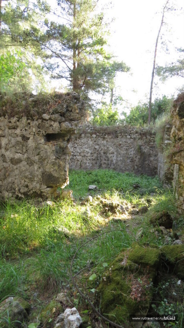photo 1424949