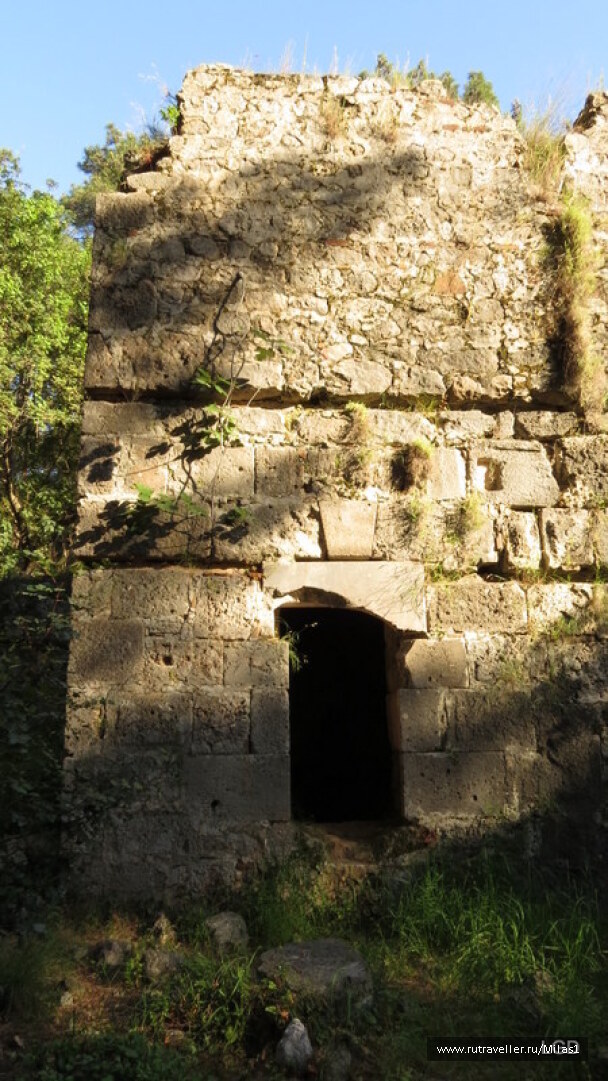 photo 1424950