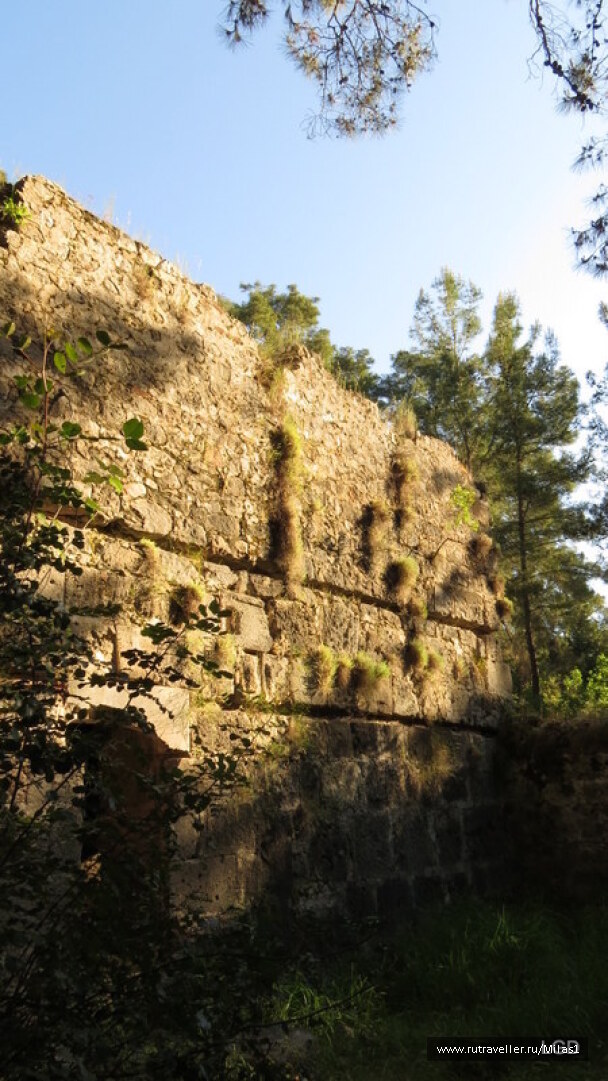 photo 1424951