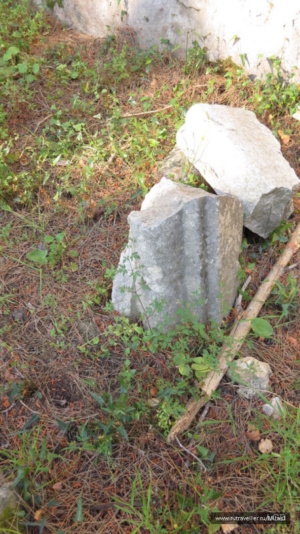 photo 1424952