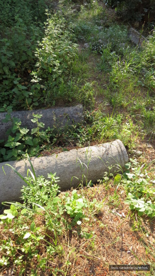 photo 1424953
