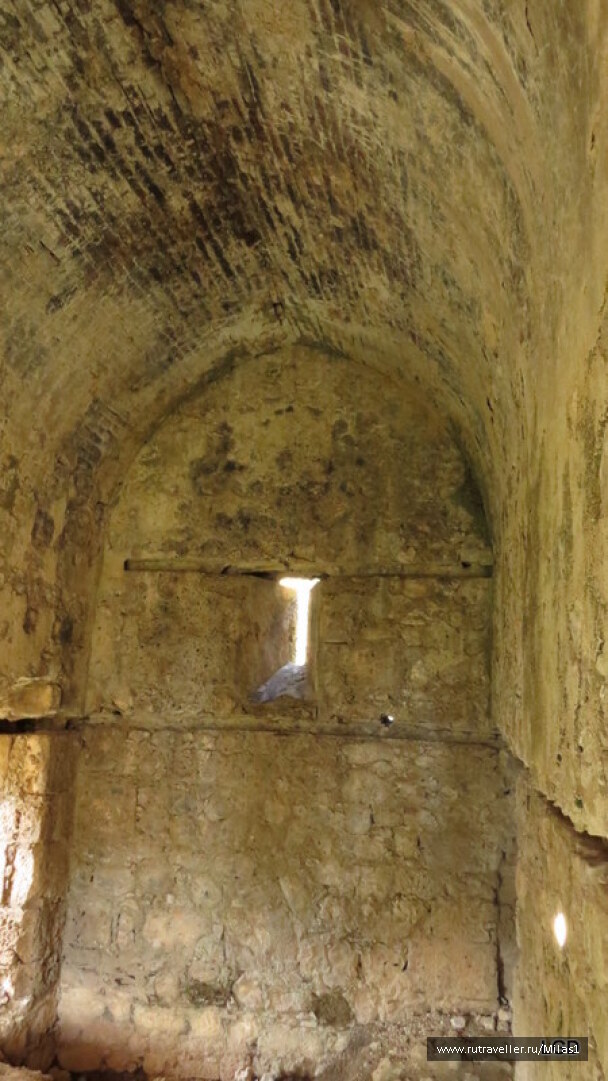 photo 1424960