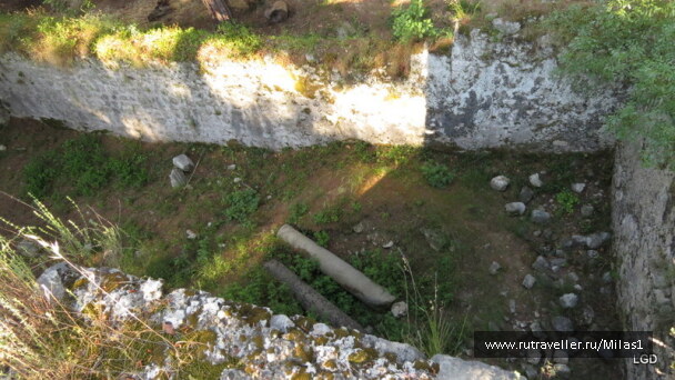 photo 1424966