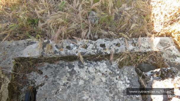 photo 1424967