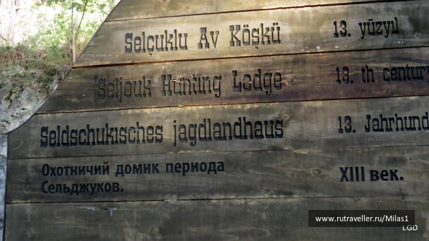 photo 1424974