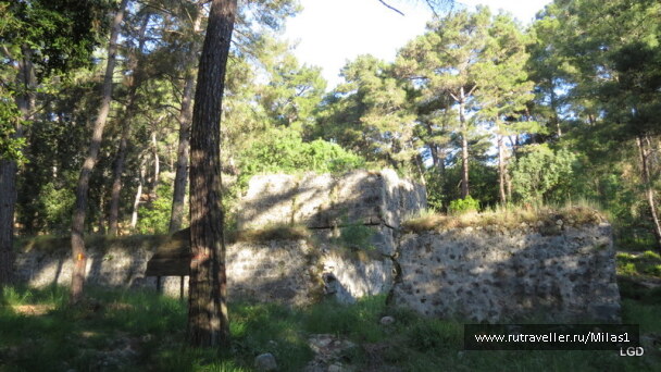 photo 1424975