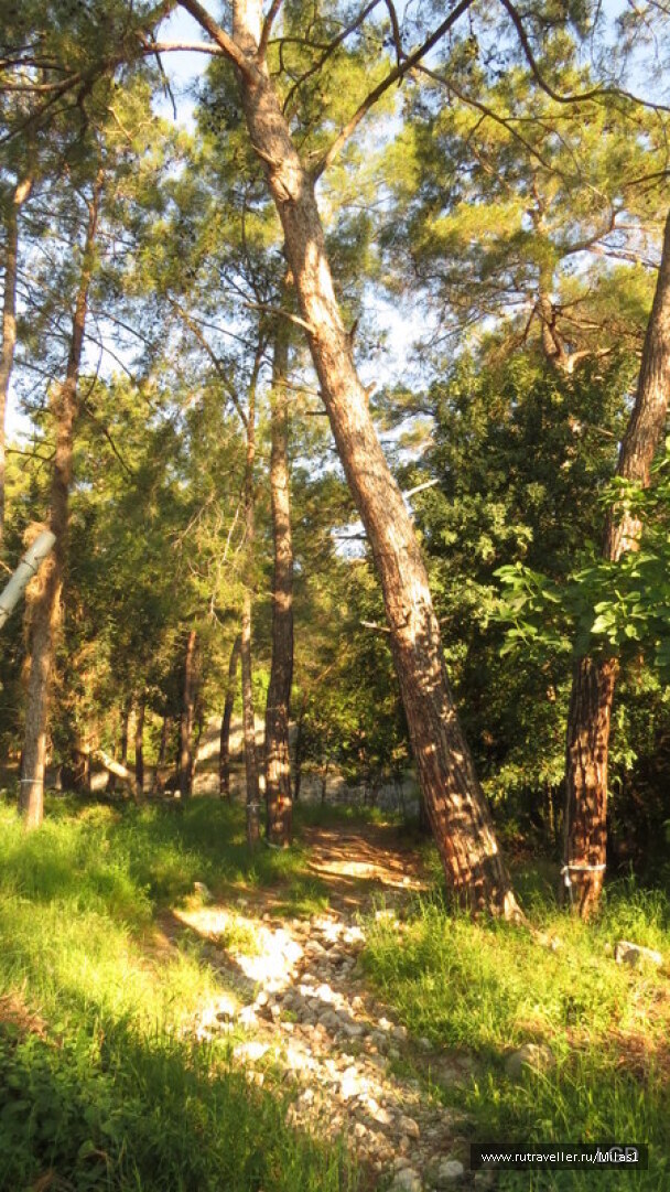 photo 1424978