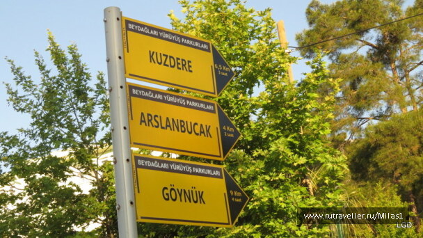 photo 1424980