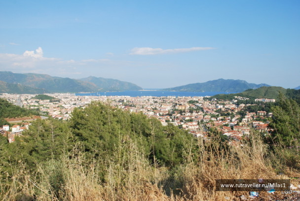photo 1424985