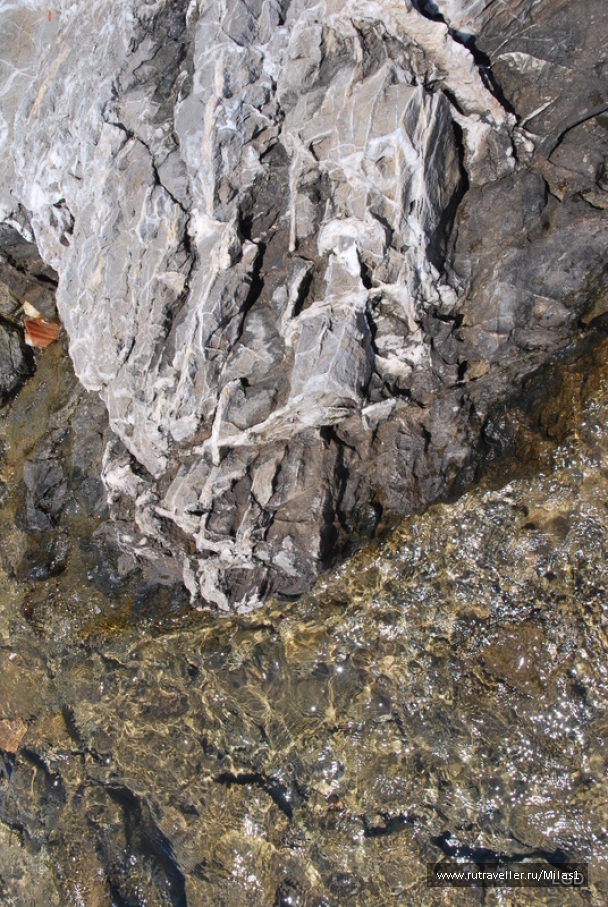 photo 1425006