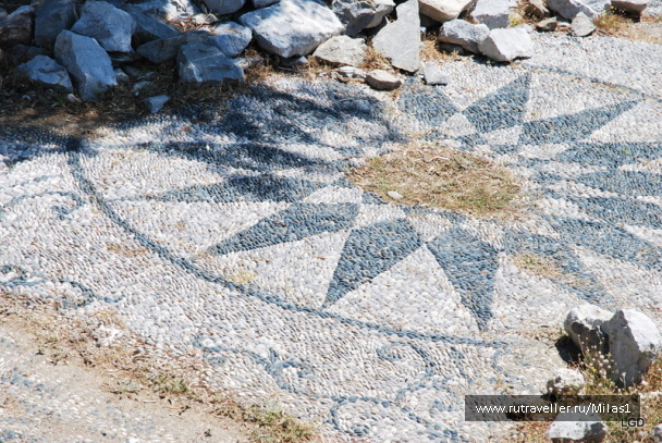 photo 1425017
