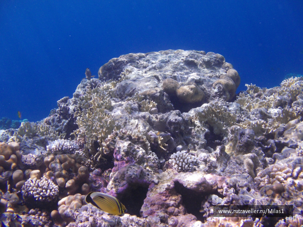 photo 1425112