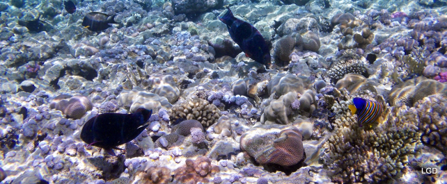 photo 1425130