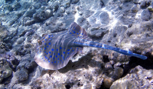 DSCN0427