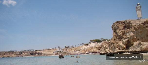 photo 1425629