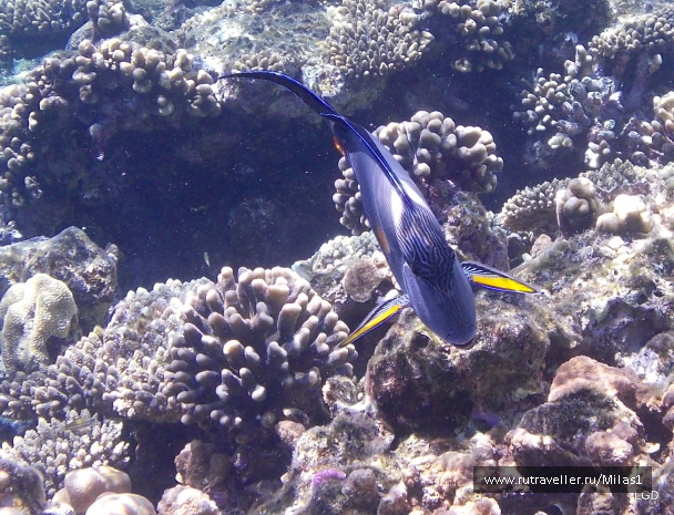 photo 1425318