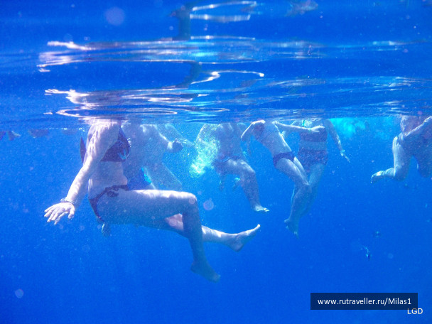 photo 1425329