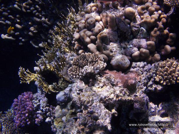 photo 1425363