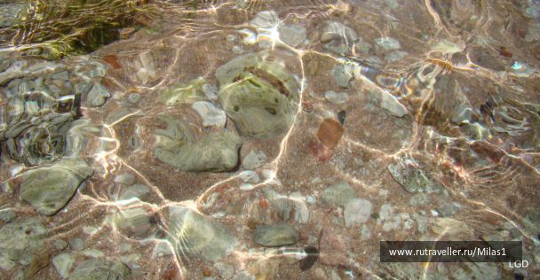 photo 1425371