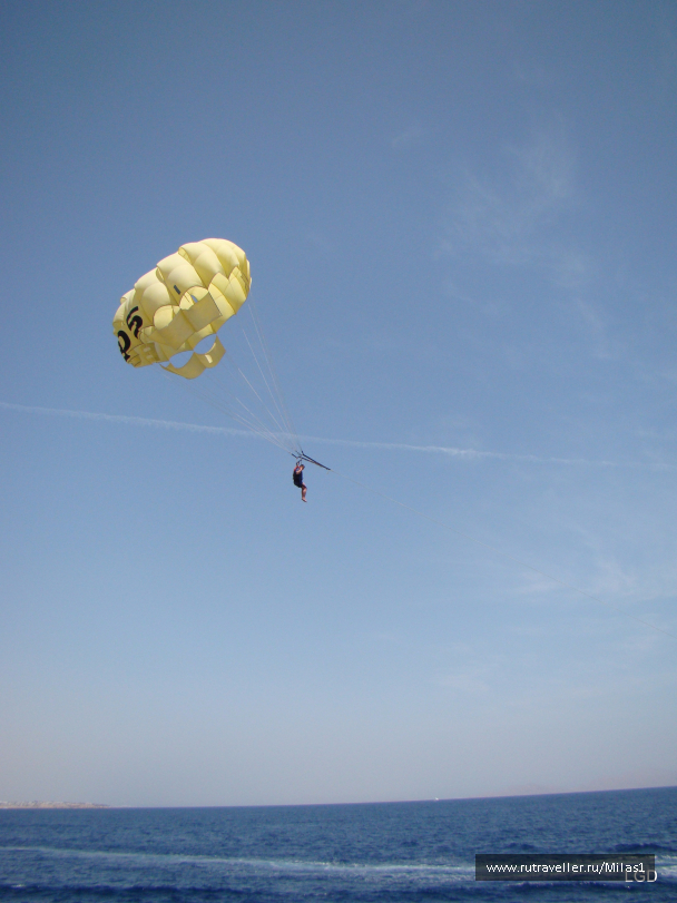 photo 1425383