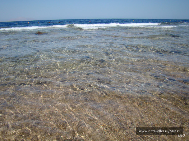 photo 1425387