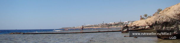 photo 1425434