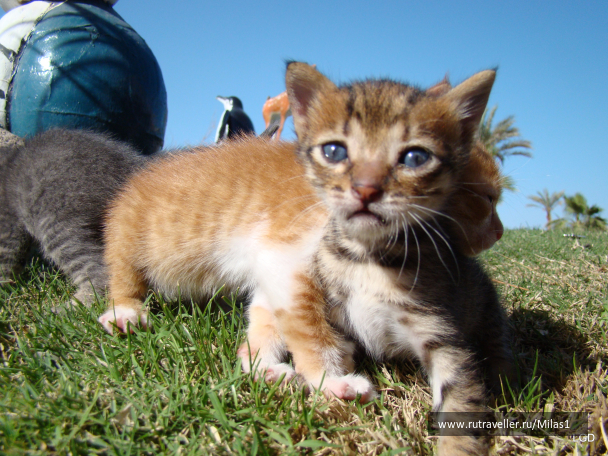 photo 1425469
