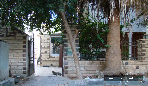 photo 1425946