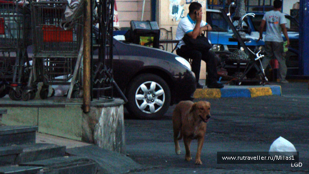 photo 1425969