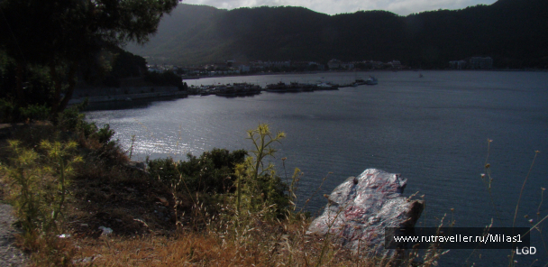 photo 1426482