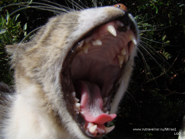 photo 1426487