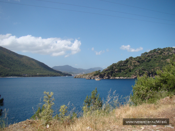 photo 1426502
